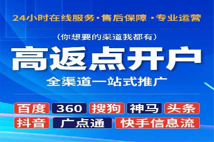 SEM服务在本地化营销中的应用案例